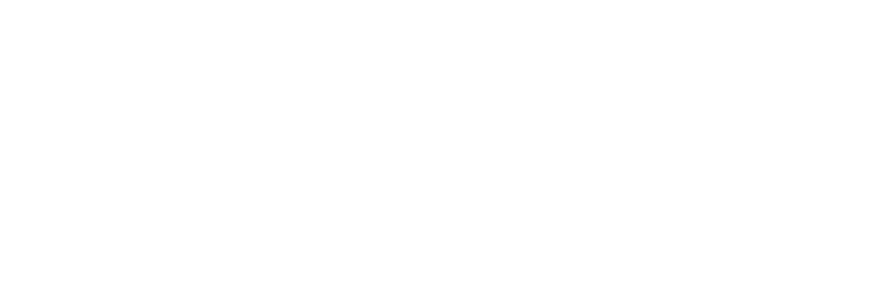 Social Web Strategy Logo White
